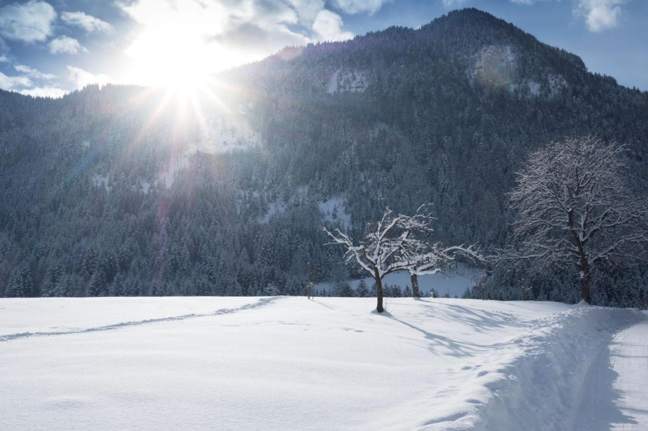 Gästehaus Midi Reith im Alpbachtal Exterior foto